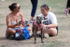 TWM_NCLB_060825_0270