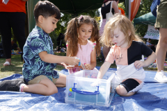 TWM_NCLB_060825_1140